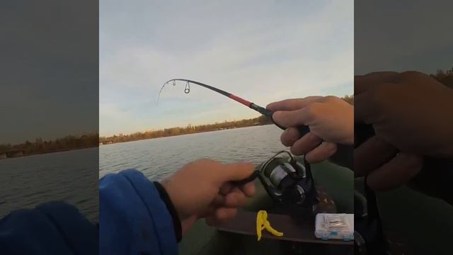 Team Dubna TD-732L смотреть онлайн