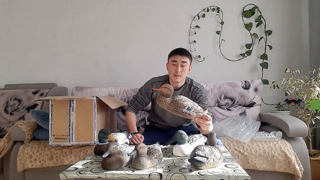 Видео отзыв о наших утиных чучелах от Тайлакова Евгения Андреевича! смотреть онлайн