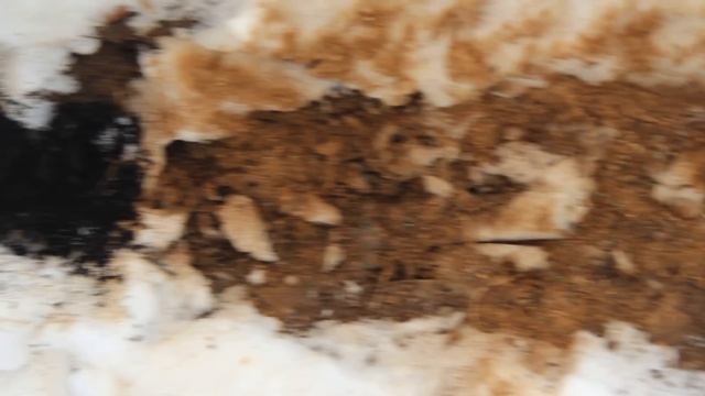 Посадка моркови под зиму. (27.11.2016 г.) смотреть онлайн