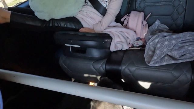 Автопутешествие Екатеринбург - Кабардино-Балкария с детьми и собакой. День 1 Екатеринбург-Тольятти смотреть онлайн