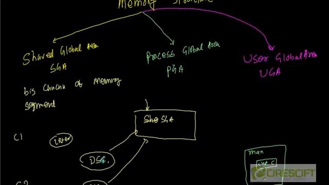 SCPT 10 Introduction to Oracle Memory Structure смотреть онлайн