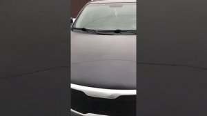 Стук двигателя Kia Sportage 3 (g4kd) без переборки уже долго (холодный запуск)