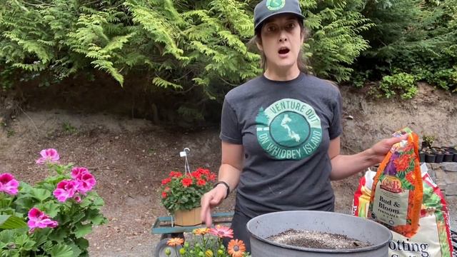 Container Planting Basics смотреть онлайн