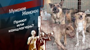 Трое в доле, не считая собаки. Мужское / Женское. Выпуск от 13.09.2023