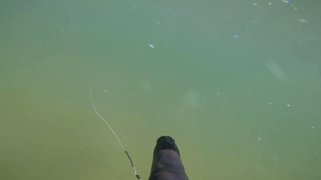 #spearfishing мини ролик подводную охоту на камбалу в Крыму смотреть онлайн