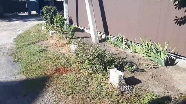 Я ПЫТАЮСЬ НАСТРОИТЬ СВОЮ ЖИЗНЬ смотреть онлайн
