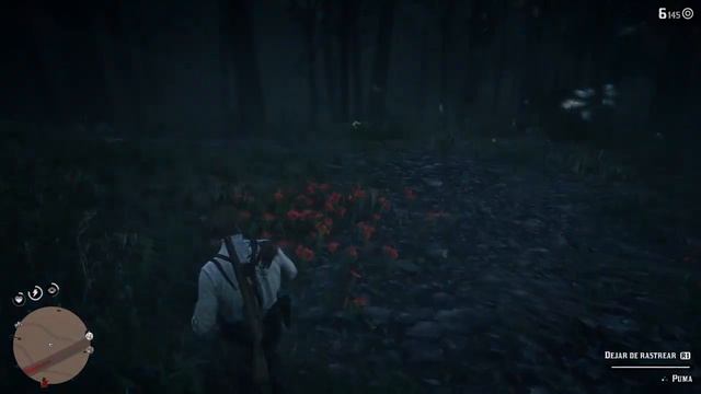 Red Dead Redemption 2 | Donde cazar un PUMA смотреть онлайн