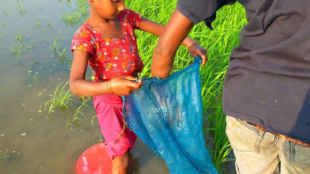 Hook Fishing - Traditional Hook Fishing - MR Fishing Life (Part-241)
