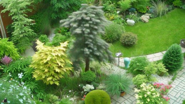 Цветник, в котором сочетаются растения разных видов и сортов. Миксбордеры смотреть онлайн