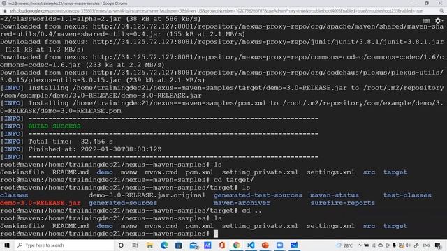 Setting up private registry for maven using Nexus | Nexus Artifactory смотреть онлайн