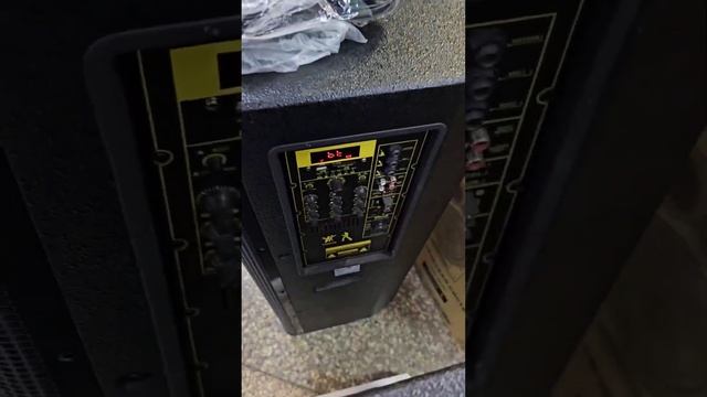 в Краснотурьинск для Галины едут супер мощные колонки ELTRONIC 20-36 PRO смотреть онлайн
