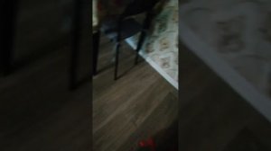 Обзор на красную колонку JBL