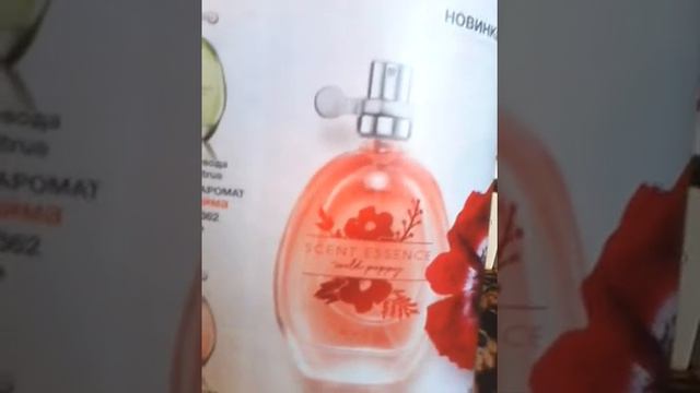 23 сентября 2016 г. смотреть онлайн