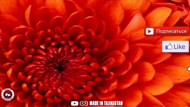 Якумбор монтаж видео дар Adobe premiere pro смотреть онлайн