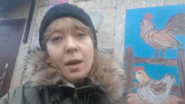Курицы перестали нести яйца.Что делать?Куриная планерка??? смотреть онлайн