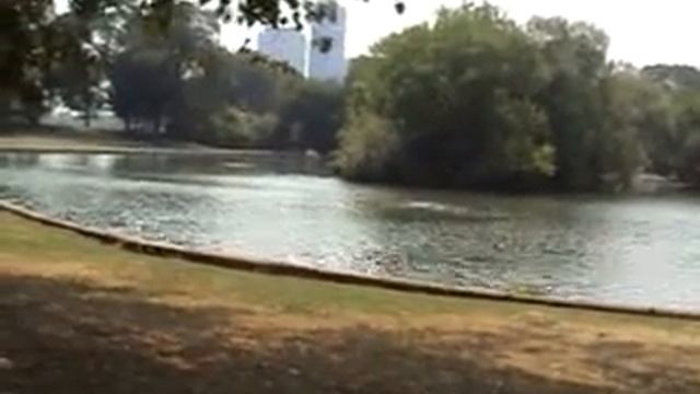 Lincoln Park Chicago IL USA смотреть онлайн