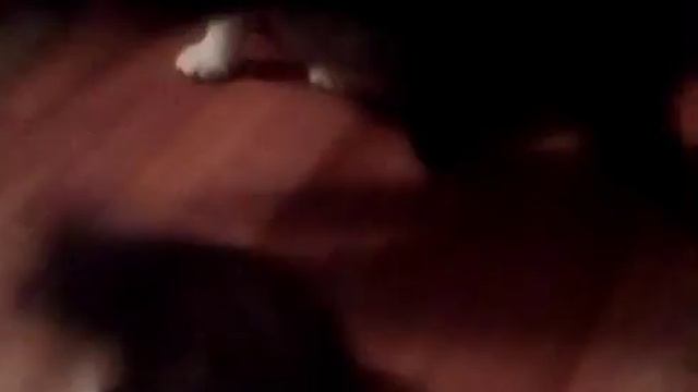 Пугливый КОТ смотреть онлайн