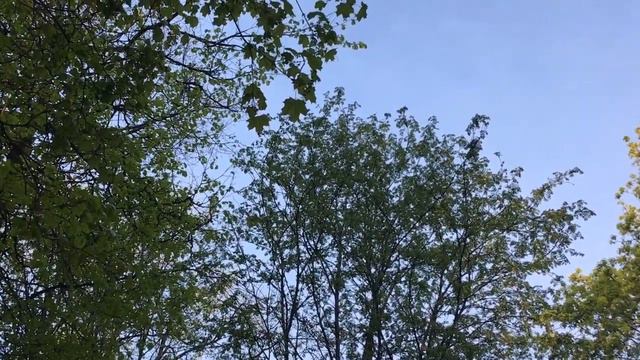 Когда просыпаешься в 6 утра... смотреть онлайн