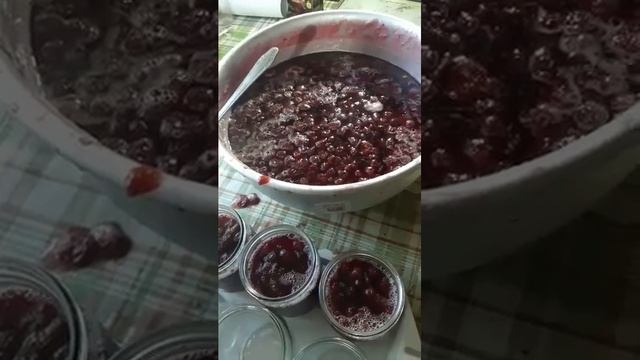 ЭКСПЕРИМЕНТ. Клубничное варенье в алюминиевом тазике смотреть онлайн