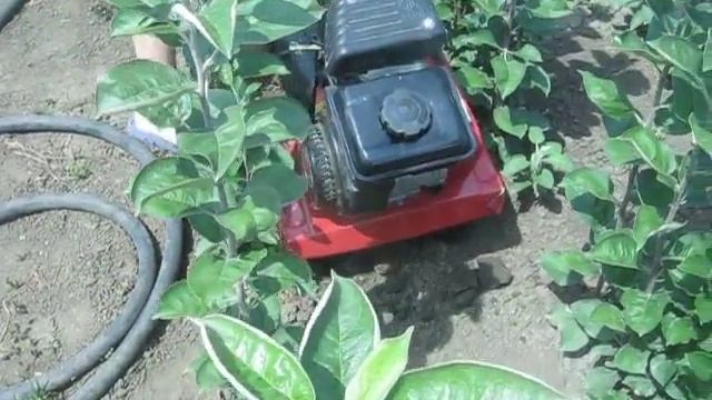 Пробуем и обкатываем мотокультиватор т-35 смотреть онлайн