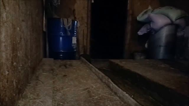 Как доить корову Бруснику аппаратом смотреть онлайн