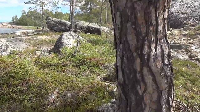 Белое море 2021 часть 2 Оборудование источника. смотреть онлайн