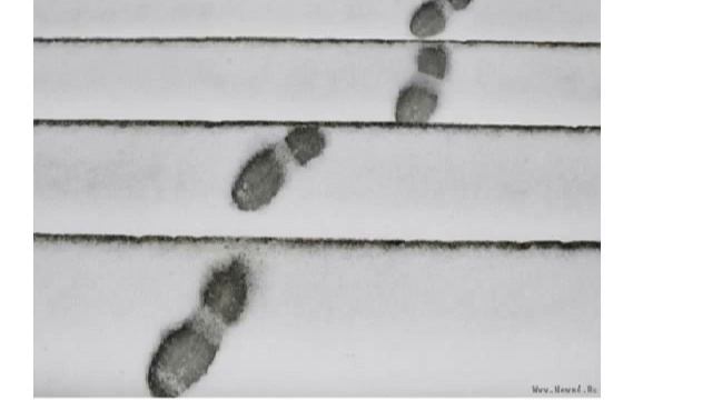 Басков Дмитрий "Как учить стихи" www.newreality.biz смотреть онлайн