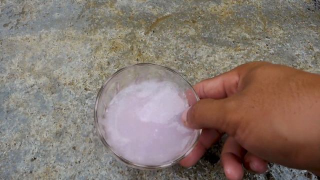 How to grow Bougainvillea with Tomato With 100 successful updates смотреть онлайн