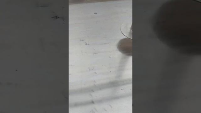 Пресс рычажный для сыра средний смотреть онлайн