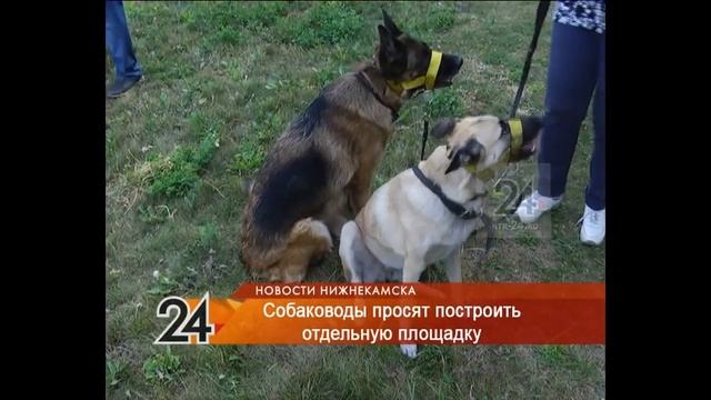 Место строительства площадки для выгула собак в Нижнекамске перенесли смотреть онлайн