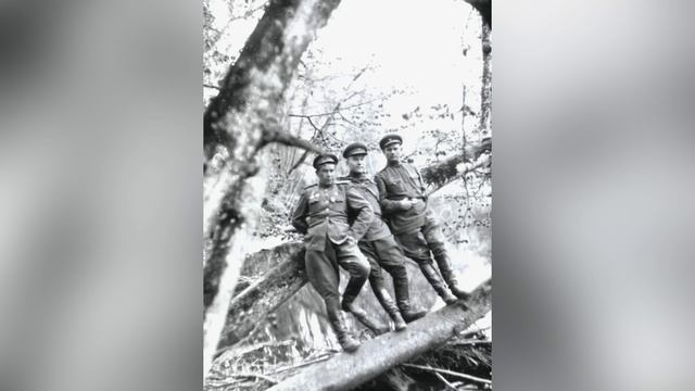 177 смотреть онлайн