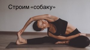 Собака с опущенной мордой