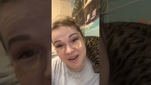 Векторные отношения дракон- кот смотреть онлайн