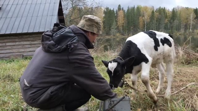 Жизнь в заброшенной деревне / Счастливый человек