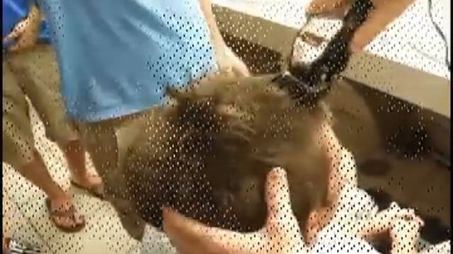 Craven's Haircut смотреть онлайн
