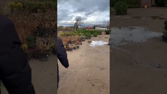 ? Скидки до 82% в Green Broker продолжаются! ?? смотреть онлайн