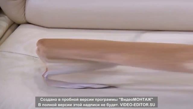 ТОЙ ТЕРЬЕР И ЧИХУАХУА l КУШАЕМ ЙОГУРТ l RUSSIAN VOLKODAVS смотреть онлайн