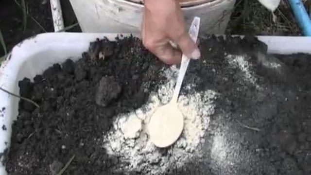 Клематис (часть 2). Многолетние цветы. смотреть онлайн