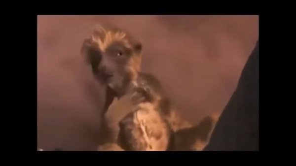 Dinosaur 2000   TV Spots