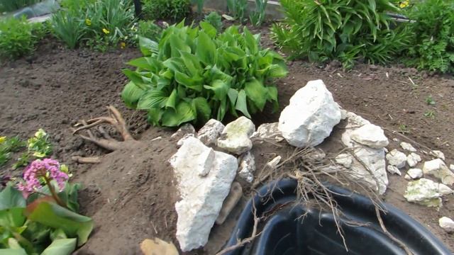 Пруд на садовом участке. Ивагуми "Колхозное".)) смотреть онлайн