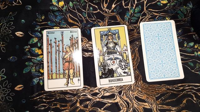 Таро прогноз на 27 декабря?( утро день вечер) смотреть онлайн