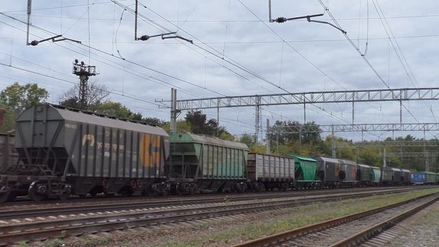 ВЛ11-210/211А с грузовым поездом следует по станции Яхрома с БМО смотреть онлайн