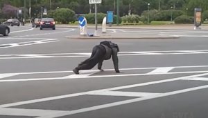 РАМАМБА _очень прикольно_.mp4