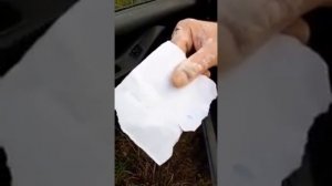 Невидимый документ