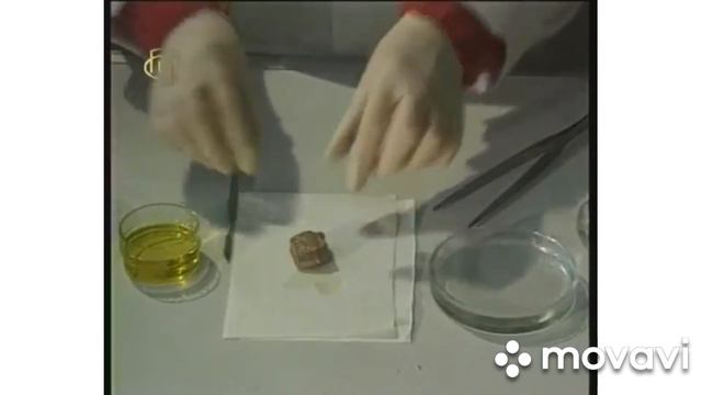 Опыт -3.Взаимодействие щелочных металлов с водой смотреть онлайн