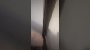 Не включается электро плита. Ремонт электро плиты.