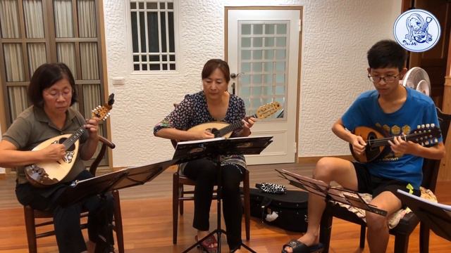 Hip don't lie (Mandoline trio) | 曼陀鈴三重奏 | 黃舒彌 | 暑期曼陀鈴音樂交流營 2018 смотреть онлайн