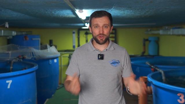 СтройМания