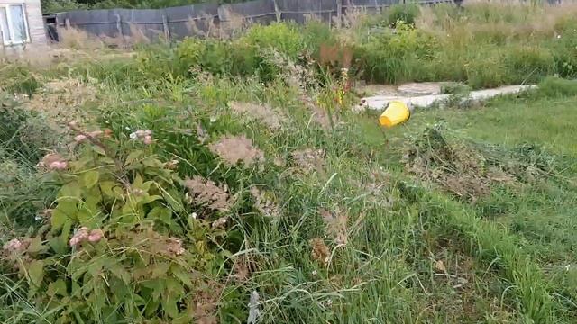 Ночевка без связи и электричества. Июль 2020. смотреть онлайн