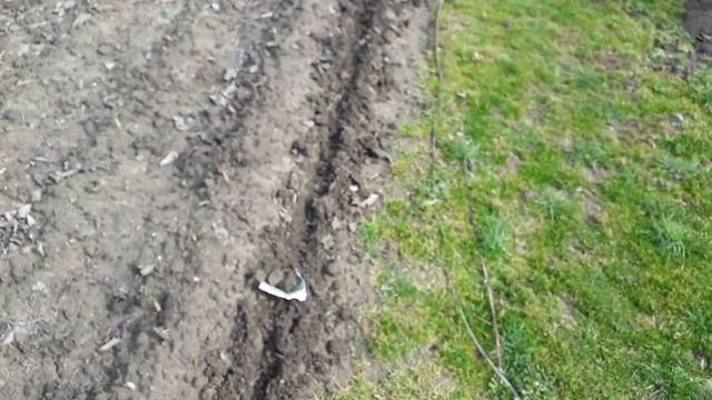 #дача я #посадил #укром и #помидоры 7 03 2023 смотреть онлайн